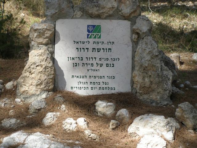 חורשת דרור - יער אשתאול (פארק רבין)