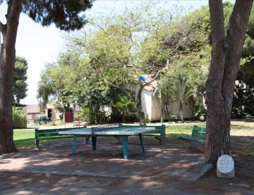 פינת ספורט לזכר רחמים אברהמי - ראשון לציון